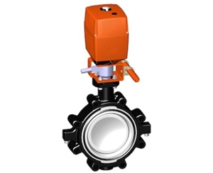 電動(dòng)蝶閥，24V 帶手動(dòng)手柄、+GF+電動(dòng)蝶閥 電動(dòng)塑料蝶閥